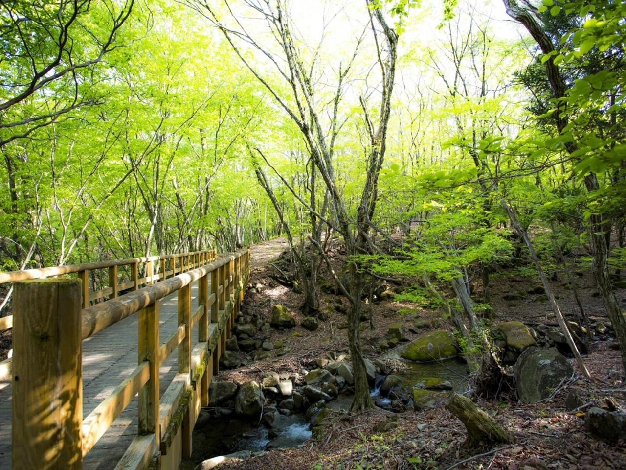 Mineyama Kogen Hotel Relaxia Kamikawa  Экстерьер фото